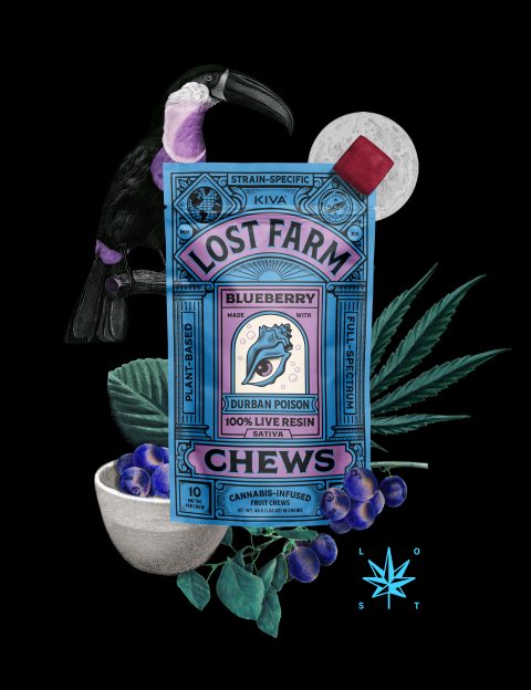 Blueberry Fruit Chew Infused with Durban Poison Live Resin