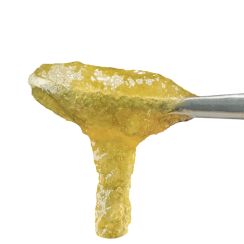 Papaya Eclipse Live Rosin Jam